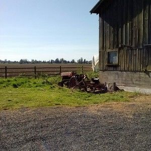 Meet your Posher, Jenny